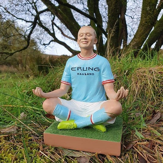 Haaland Gnome