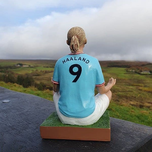 Haaland Gnome
