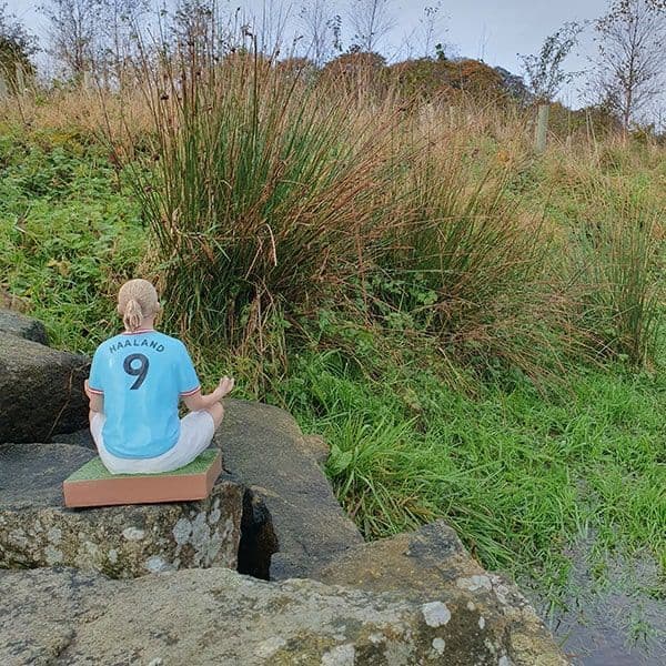 Haaland Gnome