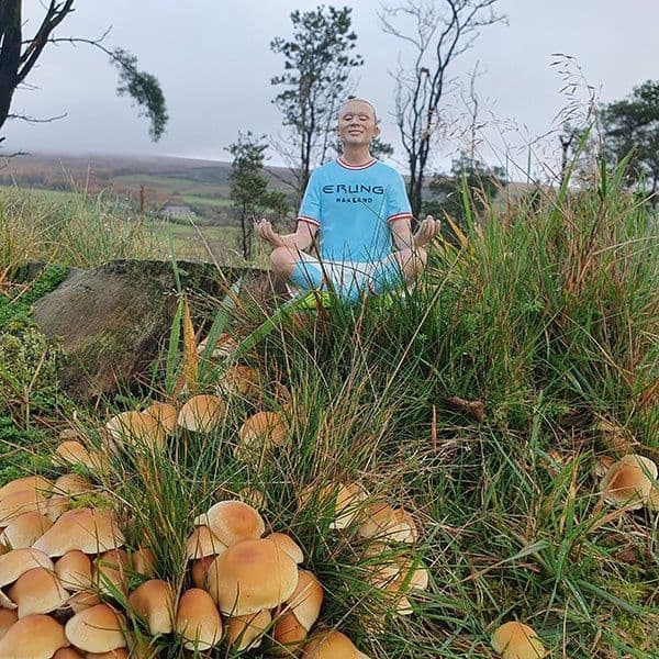 Haaland Gnome
