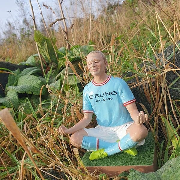 Haaland Gnome