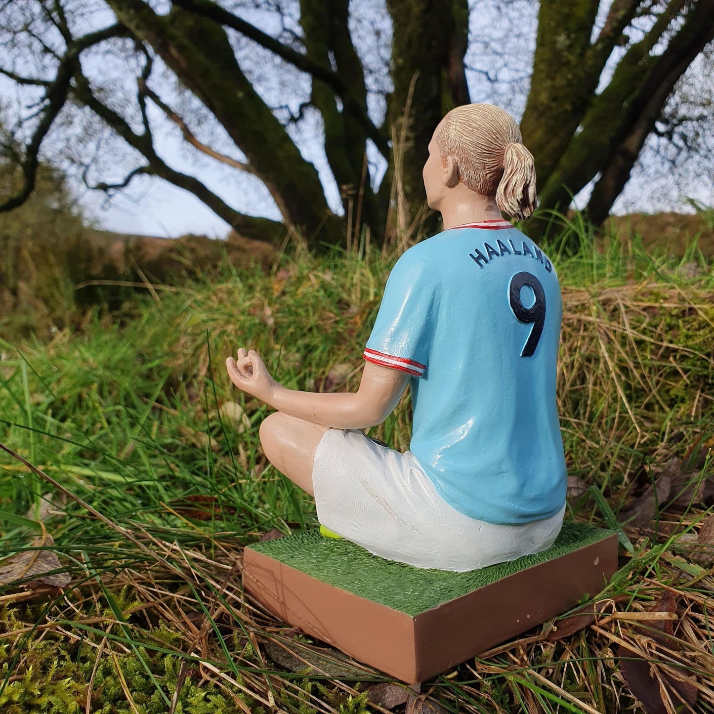 Haaland Gnome